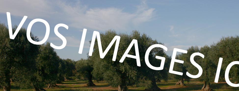 Agence Démonstration